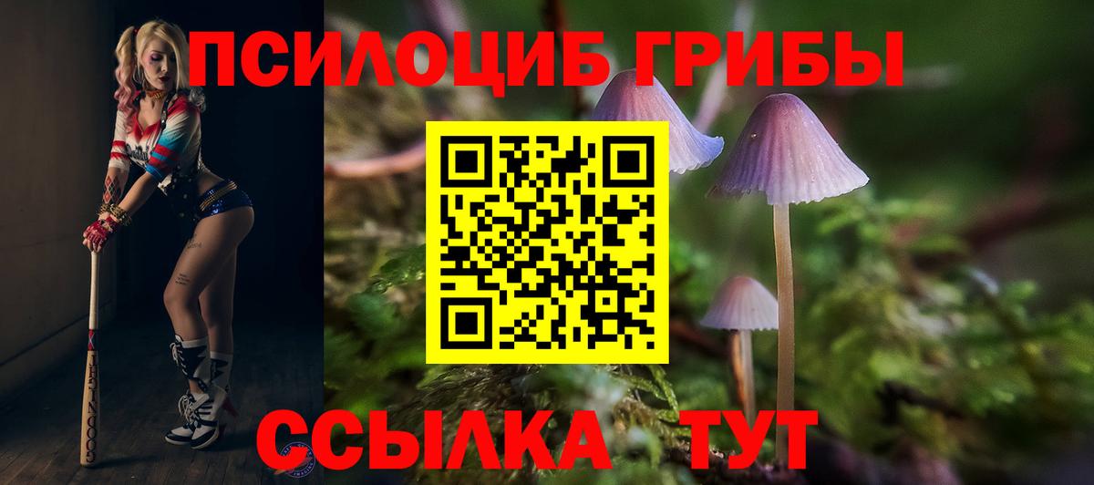Галлюциногенные грибы MAGIC MUSHROOMS  Вход с VPN  Славянск-на-Кубани 